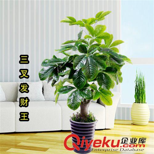仿真植物 塑料花盆栽 仿真植物 假樹 酒店裝飾 三叉長壽果仿真樹 批發原始圖片3