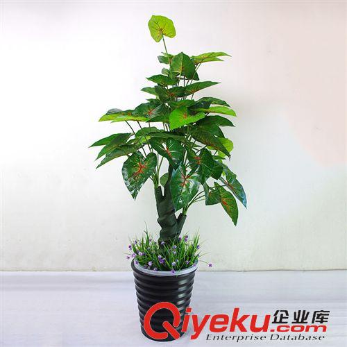 仿真植物 廠家供應 螺桿彩虹 仿真植物 仿真盆栽 仿真螺桿彩虹 家居裝飾