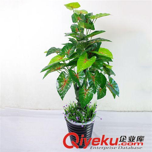 仿真植物 廠家供應 螺桿彩虹 仿真植物 仿真盆栽 仿真螺桿彩虹 家居裝飾