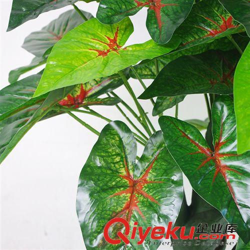 仿真植物 廠家供應 螺桿彩虹 仿真植物 仿真盆栽 仿真螺桿彩虹 家居裝飾