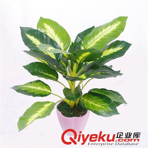 仿真植物 廠家供應(yīng)  小號(hào)仿真綠植盆栽  35cm仿真萬(wàn)年青樹  仿真植物