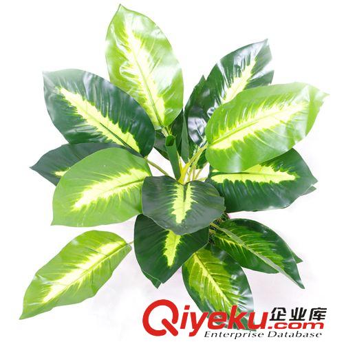 仿真植物 廠家供應(yīng)  小號(hào)仿真綠植盆栽  35cm仿真萬(wàn)年青樹  仿真植物