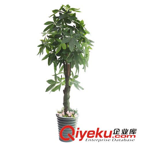 仿真植物 廠家直銷 鎖桿發財樹 仿真植物 家居裝飾 仿真發財樹 假樹