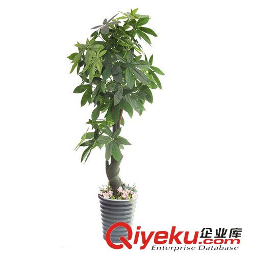 仿真植物 廠家直銷 鎖桿發財樹 仿真植物 家居裝飾 仿真發財樹 假樹