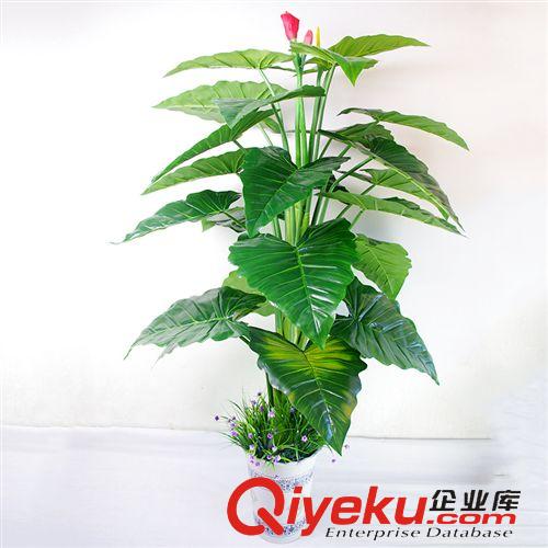 仿真植物 五頭小紅掌盆栽   仿真小紅掌盆栽  仿真植物  仿真盆栽