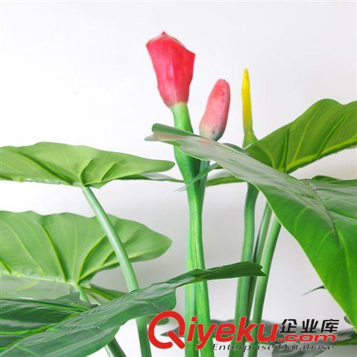 仿真植物 廠家供應(yīng)   彩虹春芋  仿真植物   仿真彩虹春芋   家居裝飾原始圖片2
