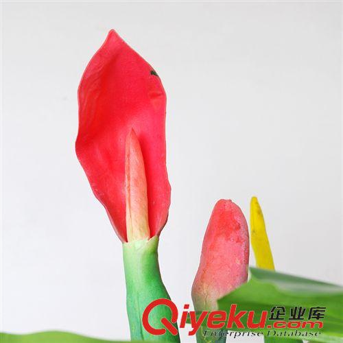 仿真植物 廠家供應(yīng)   彩虹春芋  仿真植物   仿真彩虹春芋   家居裝飾原始圖片3