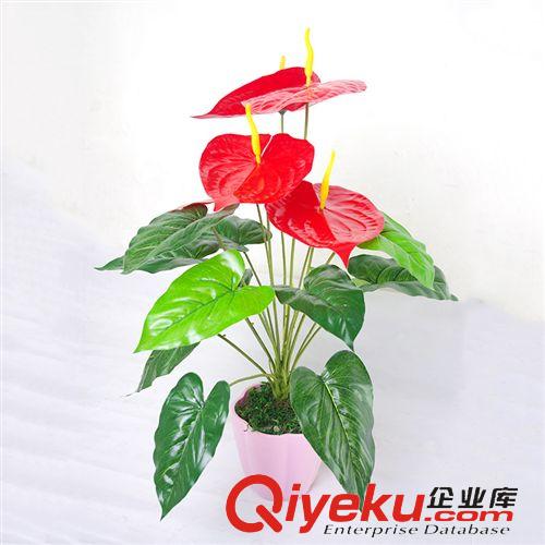 仿真植物 五頭小紅掌盆栽   仿真小紅掌盆栽  仿真植物  仿真盆栽