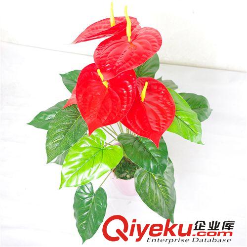 仿真植物 五頭小紅掌盆栽   仿真小紅掌盆栽  仿真植物  仿真盆栽原始圖片2