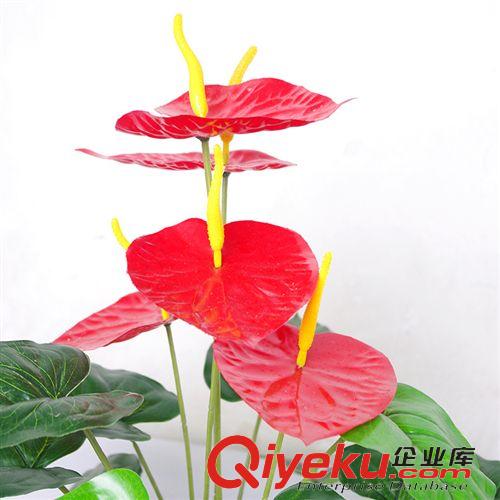 仿真植物 五頭小紅掌盆栽   仿真小紅掌盆栽  仿真植物  仿真盆栽原始圖片3