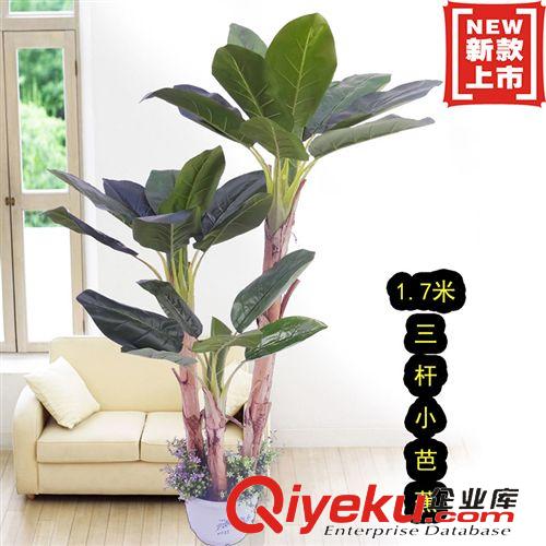仿真植物 五頭小紅掌盆栽   仿真小紅掌盆栽  仿真植物  仿真盆栽
