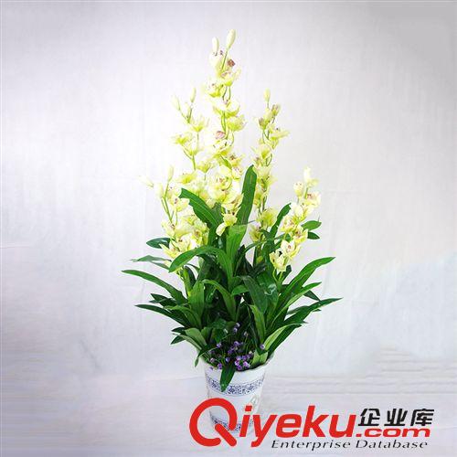 仿真植物 三桿過膠滴水觀音 三桿過膠福星 三桿過膠招財 家居裝飾 批發
