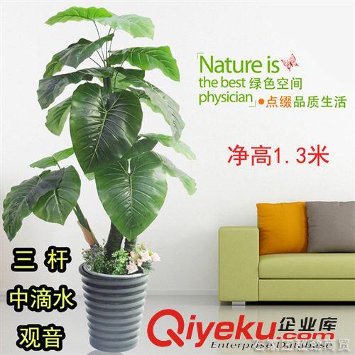 仿真植物 三桿過膠滴水觀音 三桿過膠福星 三桿過膠招財 家居裝飾 批發