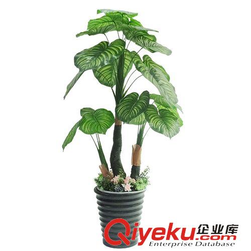 仿真植物 三桿過膠滴水觀音 三桿過膠福星 三桿過膠招財 家居裝飾 批發