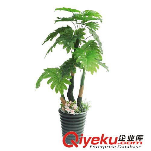 仿真植物 三桿過膠滴水觀音 三桿過膠福星 三桿過膠招財 家居裝飾 批發