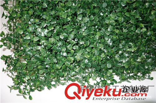 人造草坪 廠家直銷 加密仿真米蘭草坪 觀光休閑草坪 大豆瓣草塑料草坪