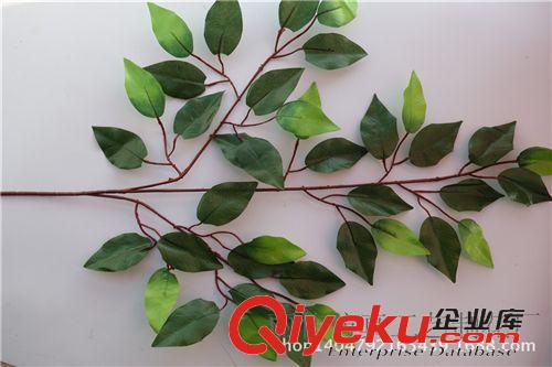 壁掛吊掛 廠家直銷 40片大葉優(yōu)質(zhì)榕樹枝 榕樹葉 塑料樹葉  仿真樹