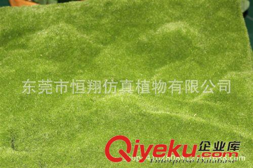 植物配件 東莞恒翔仿真植物 綠化草坪苔蘚大量供應 gd仿真 質量{yl}原始圖片3