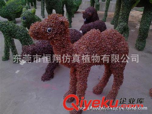 植物配件 新品上市 阿里熱銷 gf真植毛動物批發 家居裝飾物 大坐熊原始圖片2