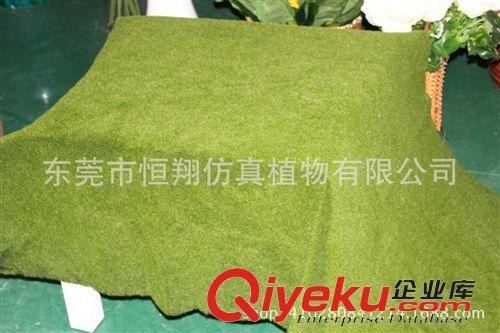 植物配件 各種規(guī)格仿真草皮 青苔草皮 植物墻草裝飾 室內(nèi)櫥窗裝飾 潮流裝飾原始圖片3
