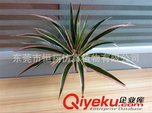 植物配件 精品仿真花 單支玫瑰花 假花 多色裝飾花 廠家批發 量大從優