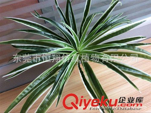 植物配件 精品仿真花 單支玫瑰花 假花 多色裝飾花 廠家批發 量大從優