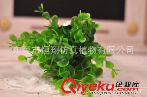 植物配件 批發供應仿真花假花塑膠花仿真樹葉尤加利草綠色植物盆栽單支花