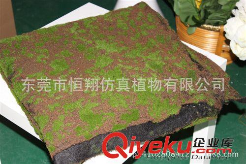 植物配件 供應(yīng)仿真苔蘚草坪 足球場草皮 公共場所草皮 休閑草皮 廠家直銷