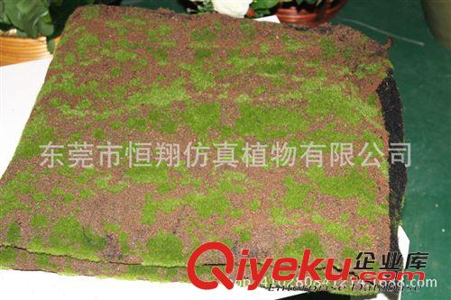 植物配件 供應(yīng)仿真苔蘚草坪 足球場草皮 公共場所草皮 休閑草皮 廠家直銷