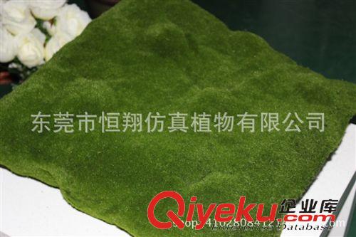 植物配件 植毛草坪 植物墻 綠色植被 苔蘚 工程裝飾材料