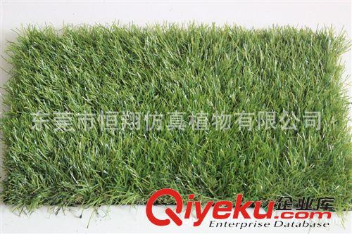 植物配件 人造草坪地毯 gf真 高密度人造草皮 廠家直銷 支持零單混批