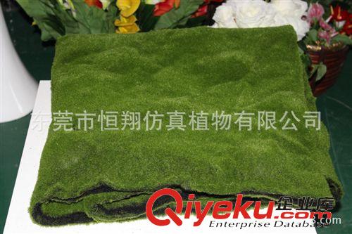 植物配件 仿真苔蘚皮 青苔草坪 草墻墻面裝飾 廠家定做 各種場所