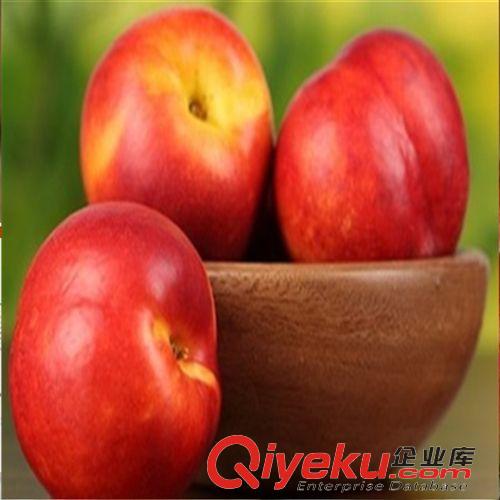水果苗 批發(fā)地栽果樹(shù)苗 盆栽桃樹(shù)苗 油桃苗 規(guī)格齊全 當(dāng)年結(jié)果原始圖片2