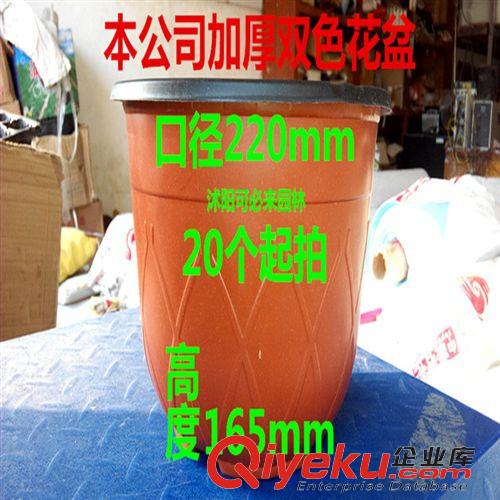 工程綠化 批發(fā)雙色塑料花盆用于盆栽摔不壞花盆塑料花盆規(guī)格齊全廠家直銷原始圖片3
