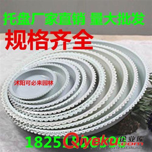農(nóng)用【花盆】 新款園藝工具兩用噴壺 澆花和噴水兩不誤 家庭必備的噴壺花灑