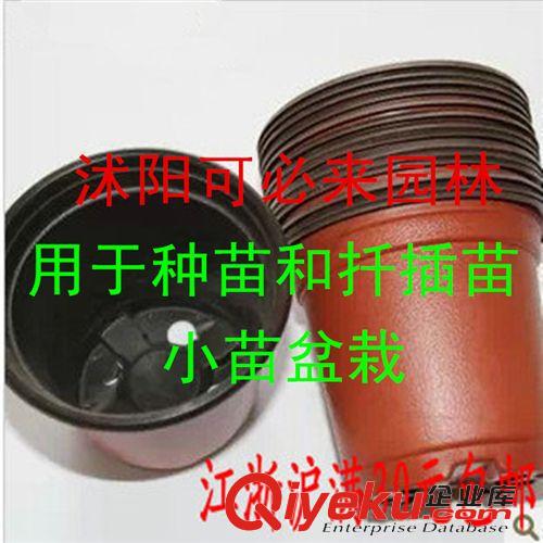 園藝 批發(fā)雙色塑料花盆用于盆栽摔不壞花盆塑料花盆規(guī)格齊全廠家直銷