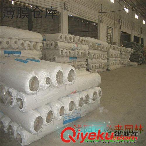 園藝 廠家直銷塑料布 加厚 透明薄膜 地膜 塑料薄膜封窗戶規(guī)格齊全原始圖片3