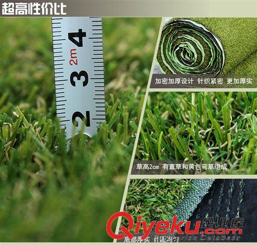 人造草坪 20mm景觀仿真草坪操場幼兒園裝飾室內室外地面裝飾草皮 加厚加密