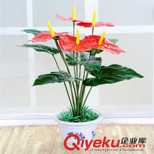 落地盆景 仿真植物 松樹圣誕樹塔柏四季長青針柏清明節又名蜀檜,圓柏批發