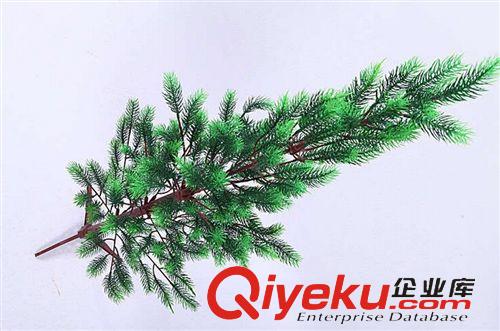 落地盆景 仿真植物 松樹圣誕樹塔柏四季長青針柏清明節又名蜀檜,圓柏批發原始圖片3