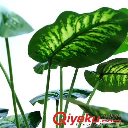 落地盆景 廠家銷售仿真植物帶盆居家辦公室12葉萬年青擺放裝飾落地盆景原始圖片3