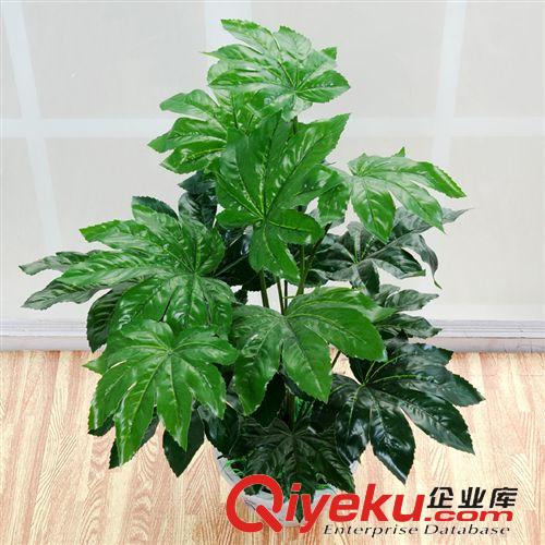 落地盆景 廠家供應仿真植物盆栽客廳落地擺放假樹裝飾批發(fā)小滴水觀音12葉