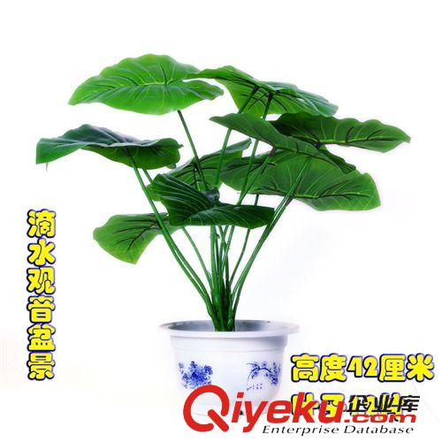 落地盆景 廠家銷售仿真植物居家辦公室落地裝飾18片葉蘋果葉盆景盆栽