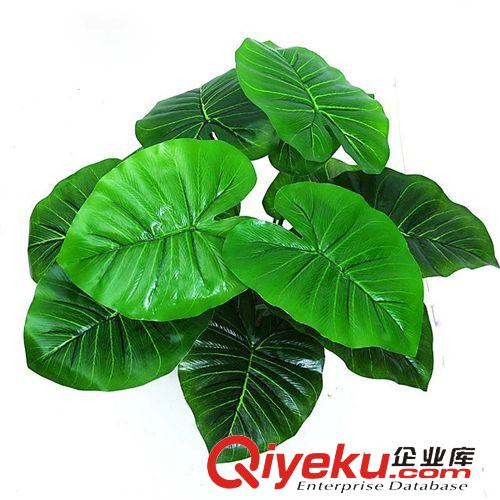 落地盆景 廠家供應仿真植物盆栽客廳落地擺放假樹裝飾批發(fā)小滴水觀音12葉原始圖片2