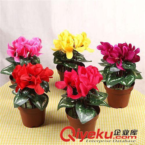 桌擺系列 家居裝飾用品仿真植物水果迷你樹脂彩盆套裝拍攝道具購滿包郵