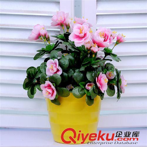 桌擺系列 家居裝飾用品仿真植物水果迷你樹脂彩盆套裝拍攝道具購滿包郵