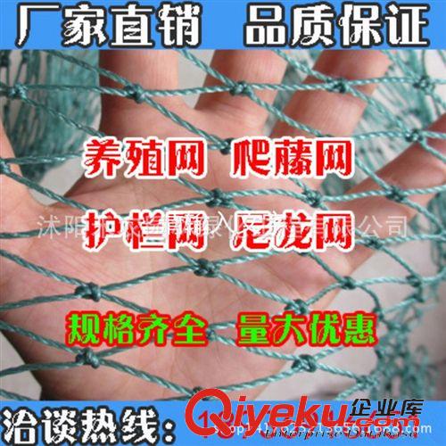 果樹 批發(fā)水果樹苗南方北方品種齊全藍(lán)莓苗 地栽盆栽包郵包成活
