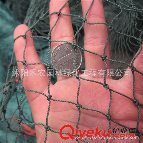 塑料網(wǎng) 花園防護(hù)塑料網(wǎng)子編織網(wǎng)防護(hù)網(wǎng)爬藤網(wǎng)尼龍網(wǎng)養(yǎng)殖網(wǎng)養(yǎng)雞網(wǎng)養(yǎng)鴨網(wǎng)原始圖片2