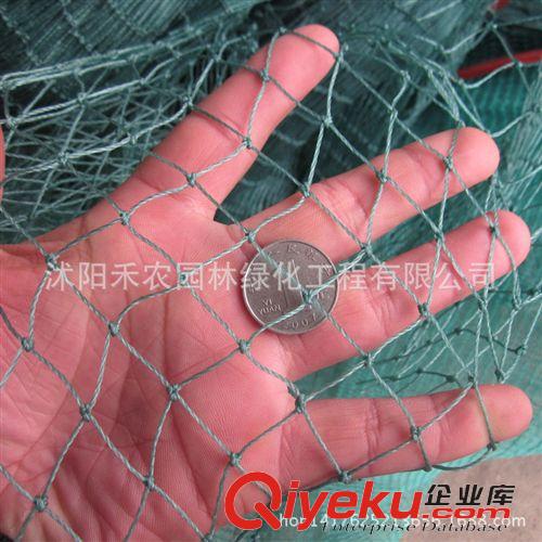 塑料網(wǎng) 花園防護(hù)塑料網(wǎng)子編織網(wǎng)防護(hù)網(wǎng)爬藤網(wǎng)尼龍網(wǎng)養(yǎng)殖網(wǎng)養(yǎng)雞網(wǎng)養(yǎng)鴨網(wǎng)原始圖片3