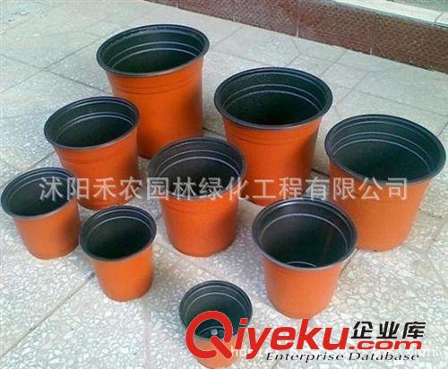 花盆容器 批發雙色花盆塑料 紅黑育苗盆 移植盆 耐摔不爛壞軟的 花盆雙色盆原始圖片2